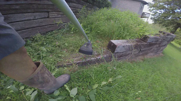 Cordless M18 Milwaukee weedeater vs. Out of control vegitation